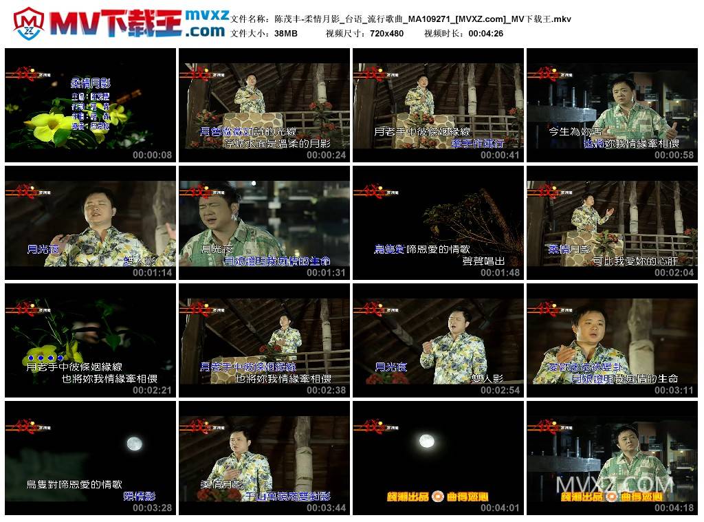 陈茂丰-柔情月影_台语_流行歌曲_MA109271